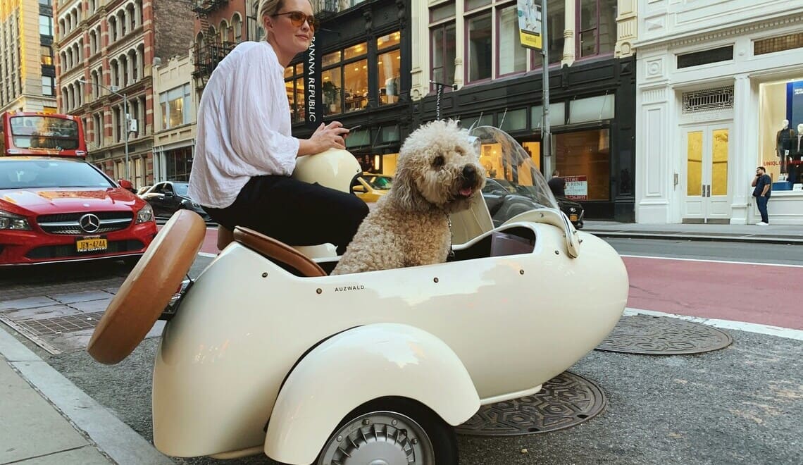 5 top luxuries for dogs in nyc