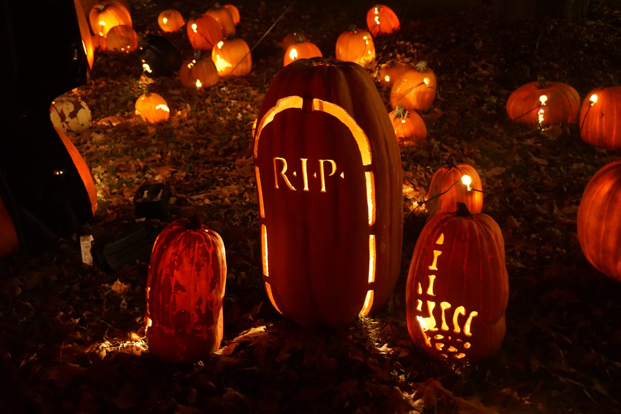 pumpkin decor