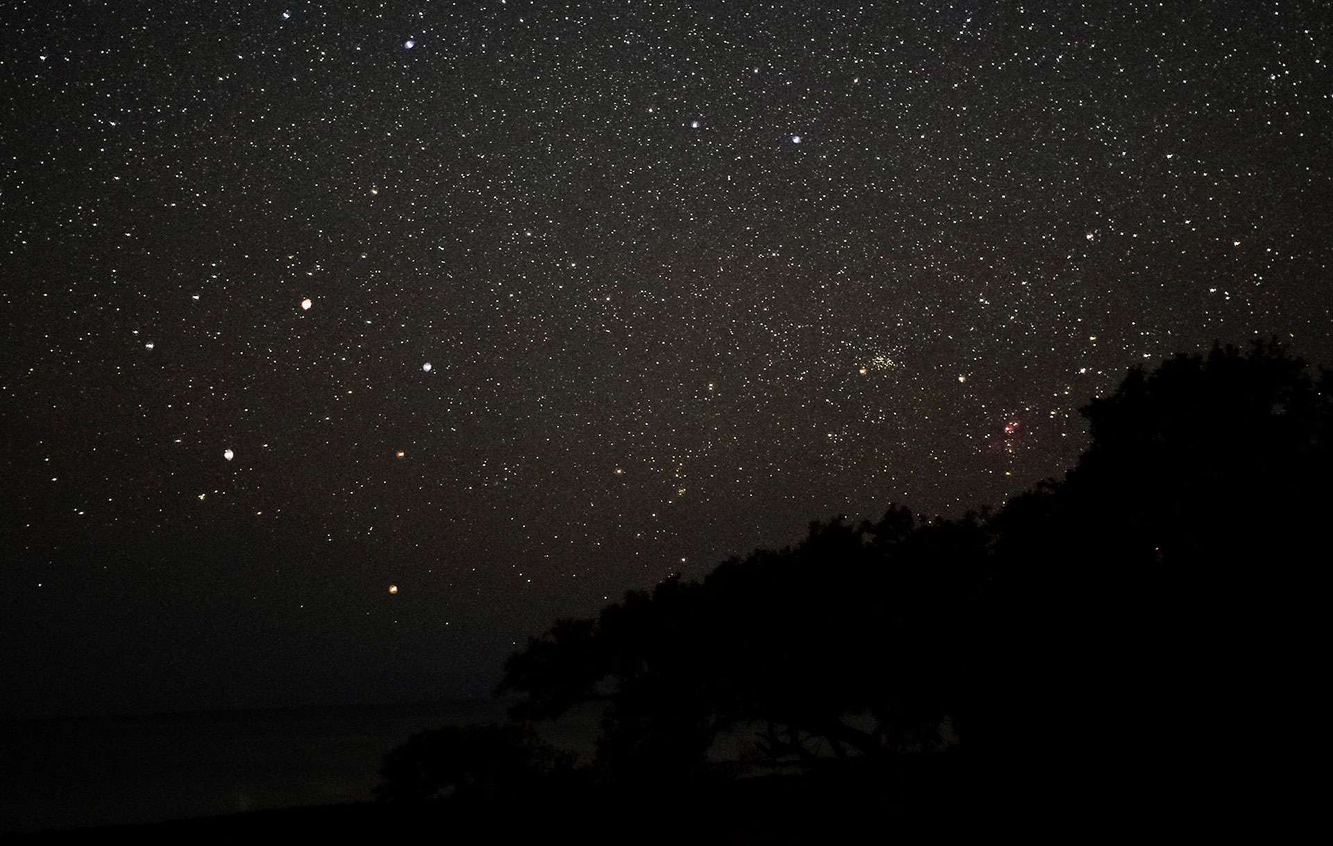 things to do in miami - stargazing - Southern Cross Astronomical Society - miami with kids - fun things to do in miami