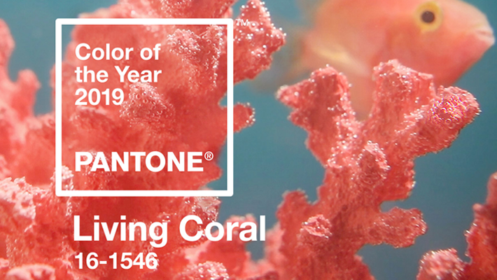 Pantone Color of the Year 2019 Living Coral 16-1546