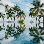 palm tree reflections in a pool of water on the island of mauritius - 2019 luxury travel destinations