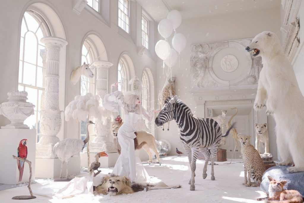 Photo titled White Witch Awakening by Miss Aniela showing taxidermy animals and a women in white