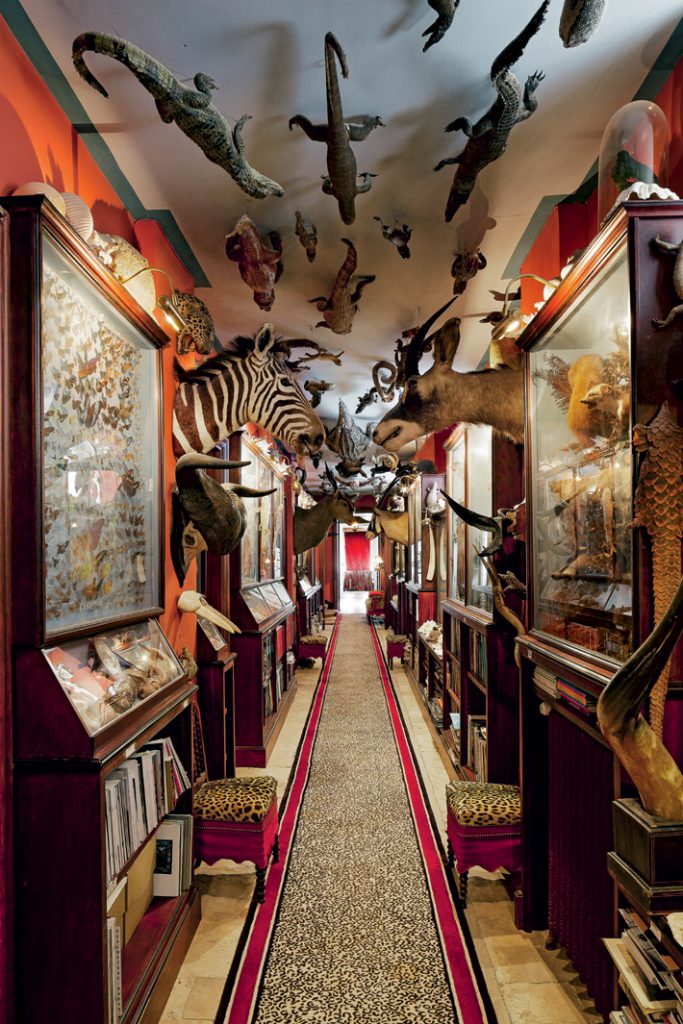 Taxidermy in the La Galerie des Animaux Champ de Bataille designed by Jacques Garcia (Photo by Eric Sander)