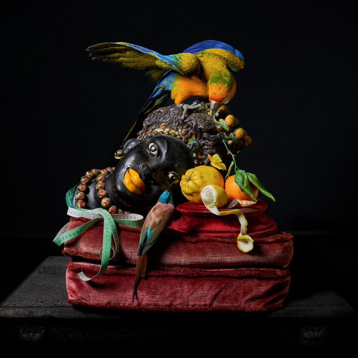 RENDEZ-VOUS EXOTIQUE taxidermy art by Darwin, Sinke and van Tongeren