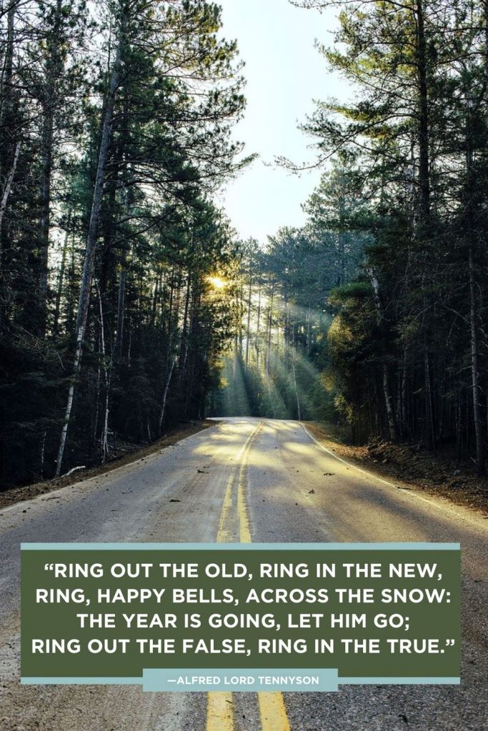 ring out the old, ring in the new, ring, happy bells, across the snow: the year is going, let him go; ring out the false, ring in the true. alfred lord tennyson