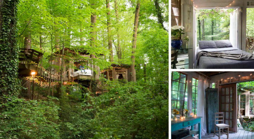 unique travel destinations Secluded Intown Treehouse (Photos from Airbnb)