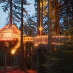 redwoods treehouse new zealand
