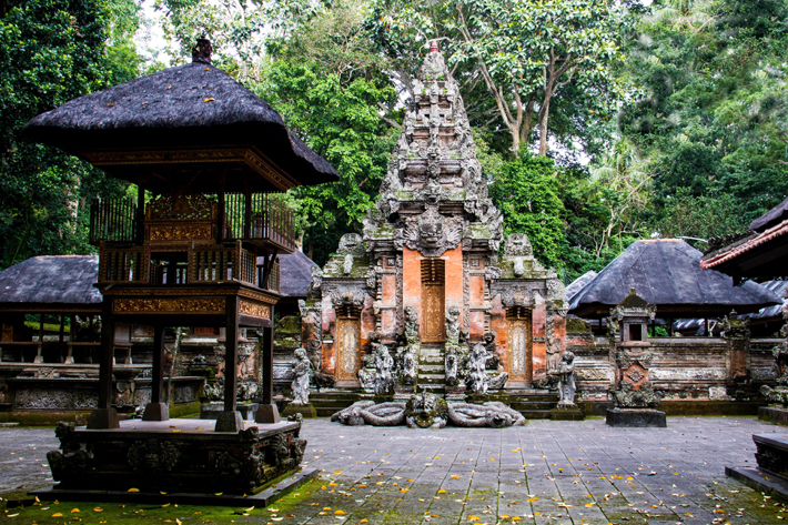 Ubud Monket Forest (Photo by Nick Fewings)