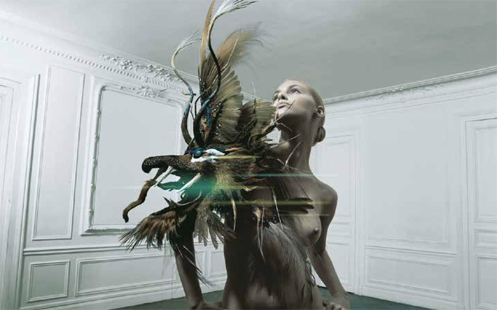 nature transformee collection Plumasserie art by nelly saunier 