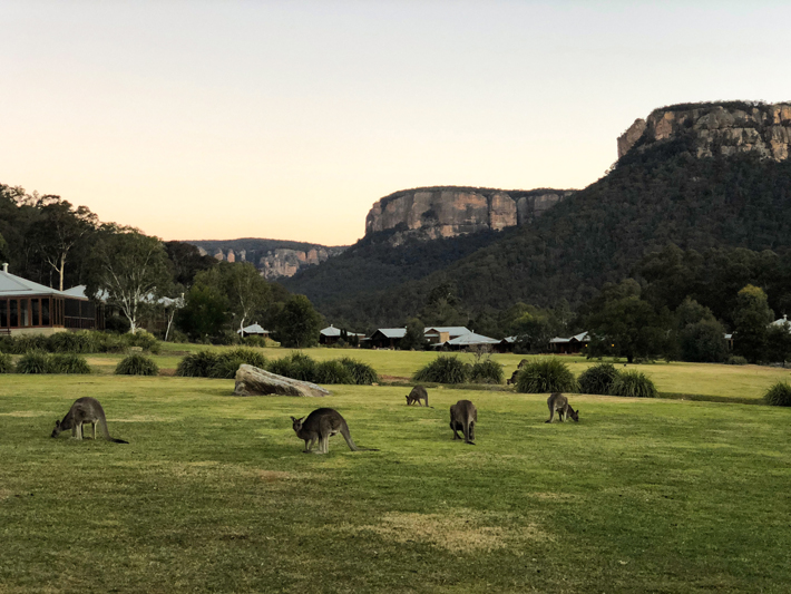 Travel by Design, Photo of Palm Beach, Australia by Jeffrey Allan Marks