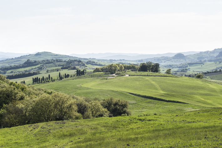 View from Borgo Pignano, Italy (Photo by Scata)