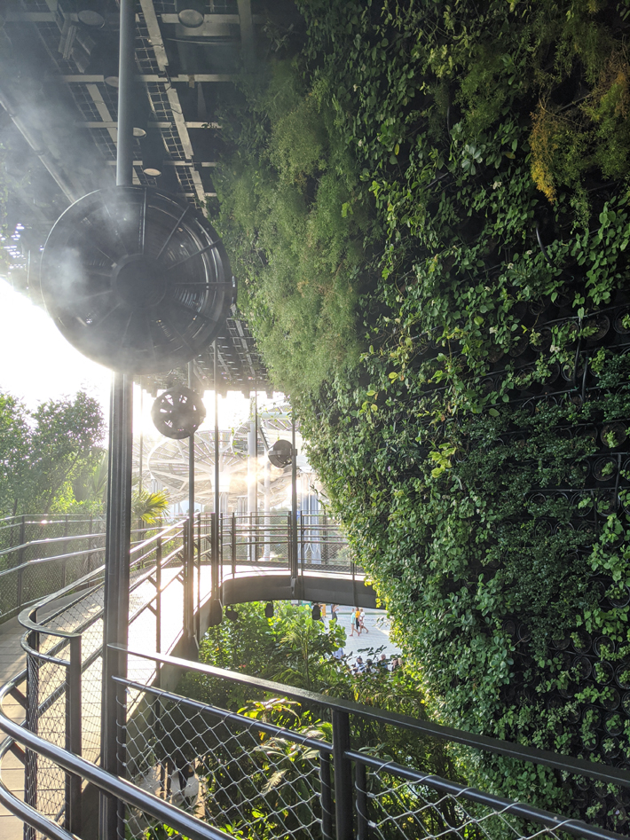 dry mist fans at singapore pavilion expo 2020