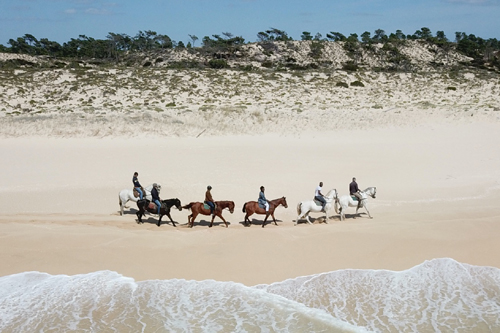 CAVALOS NA AREIA