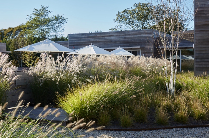 hamptons luxury hotels city guide shou sugi ban house