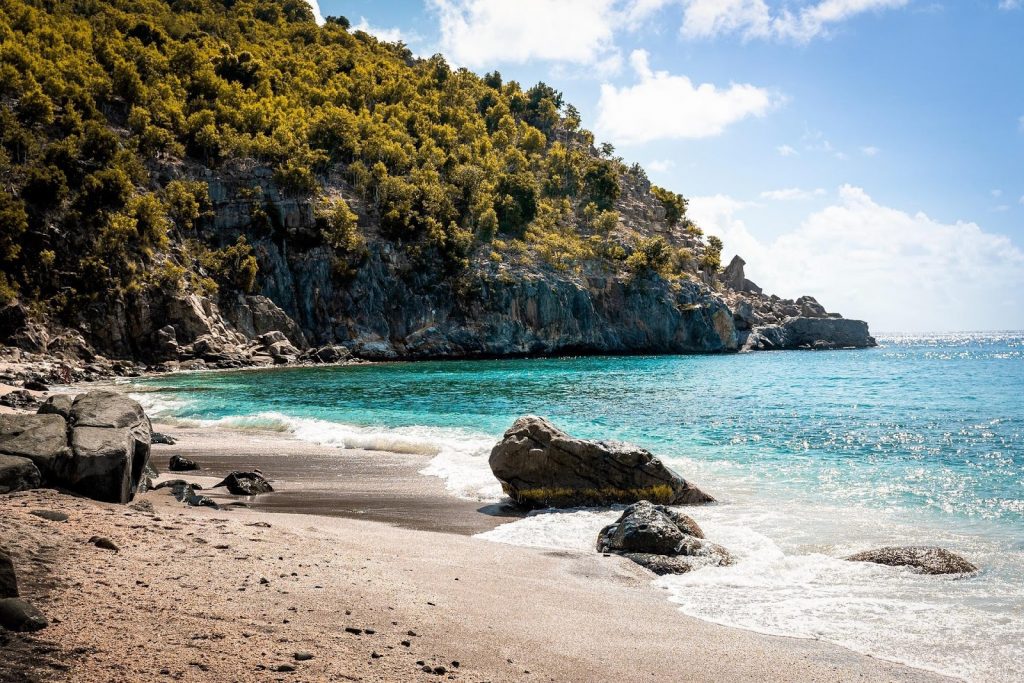A sunny photo of a sandy beach covered in shells on the Caribbean coast of Saint Barts