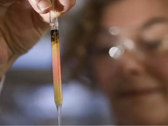 The Australian National University researched first pink pigment