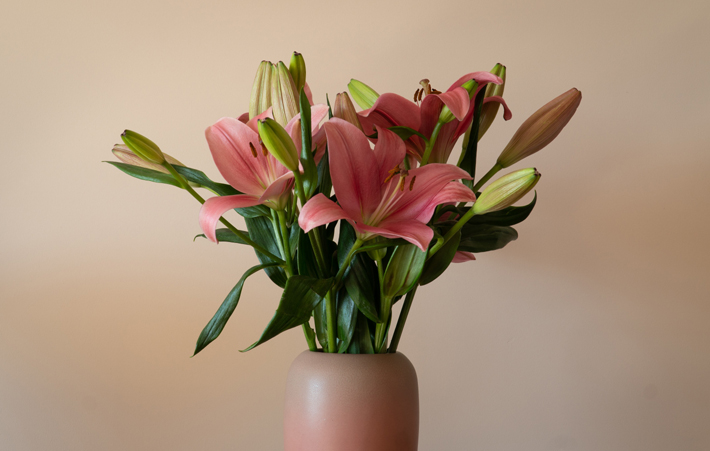 bouquet of pink lilies