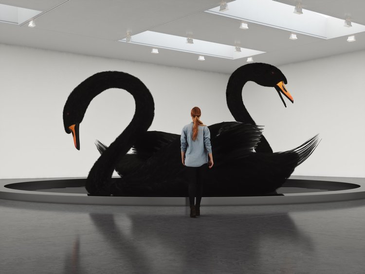 Black Swans art installation by axis mundi