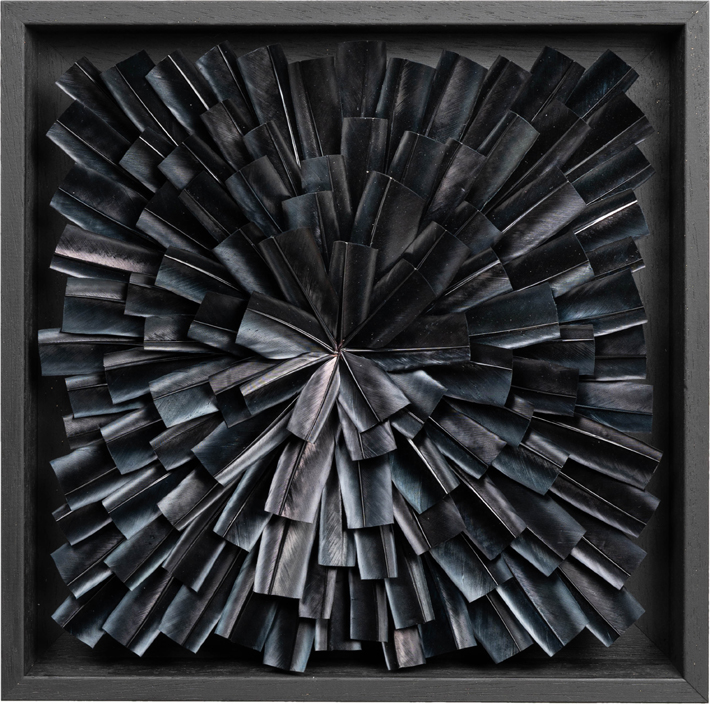 "Nova B", 2021 by Julien Vermeulen feather artist