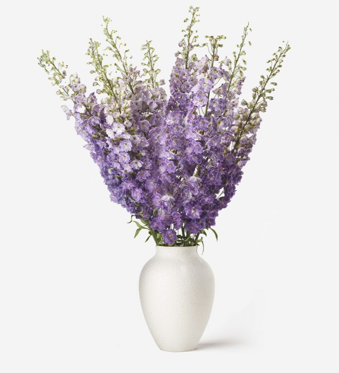 dusty lilac delphinium flowerbx Most Gorgeous Mother’s Day Flower Bouquets