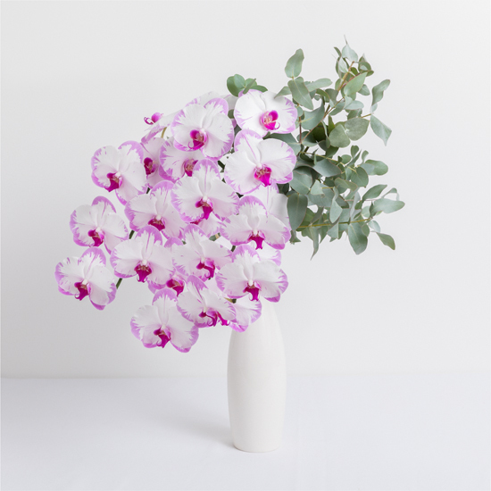 Shop Farm Fresh Phalaenopsis Orchids at Ode à la Rose Most Gorgeous Mother’s Day Flower Bouquets