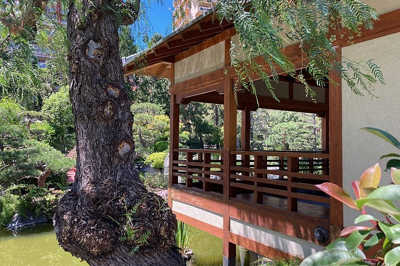 JAPANESE GARDEN (An oasis of tranquillity)
(Photo by Jorgecft)
luxury things to do in monaco