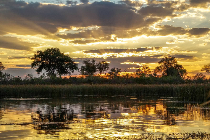 A magical view in Botswana | Photo Courtesy of ROAR Africa