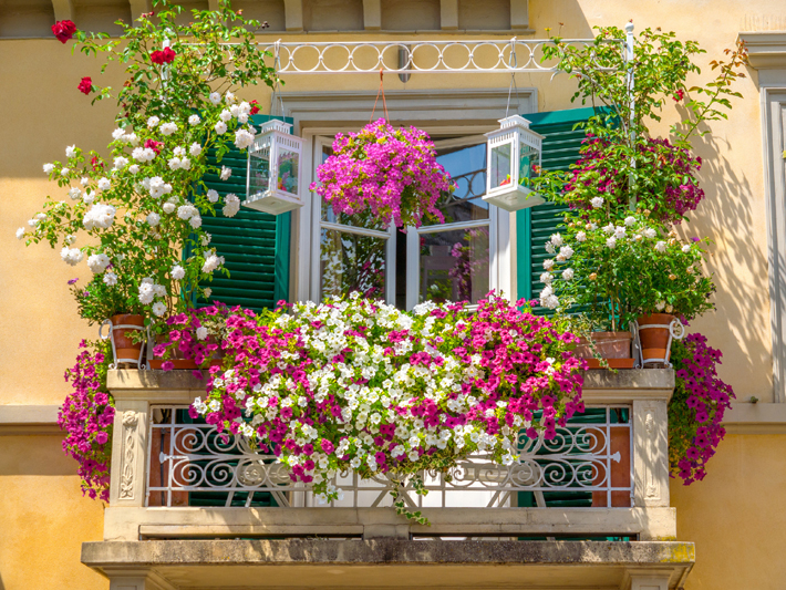vertical gardening Italian house with windows balcony decorated with many colorful