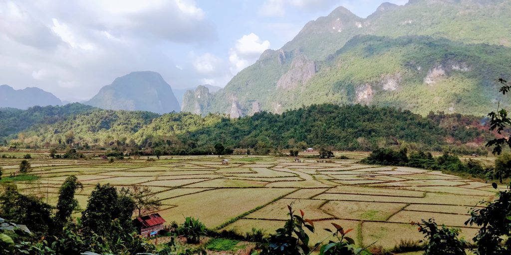 Rice fields Laos, Southeast Asia