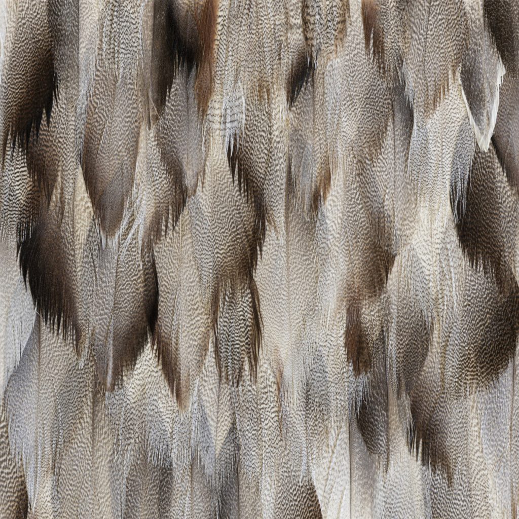 misty guinea feathers wallpaper koket