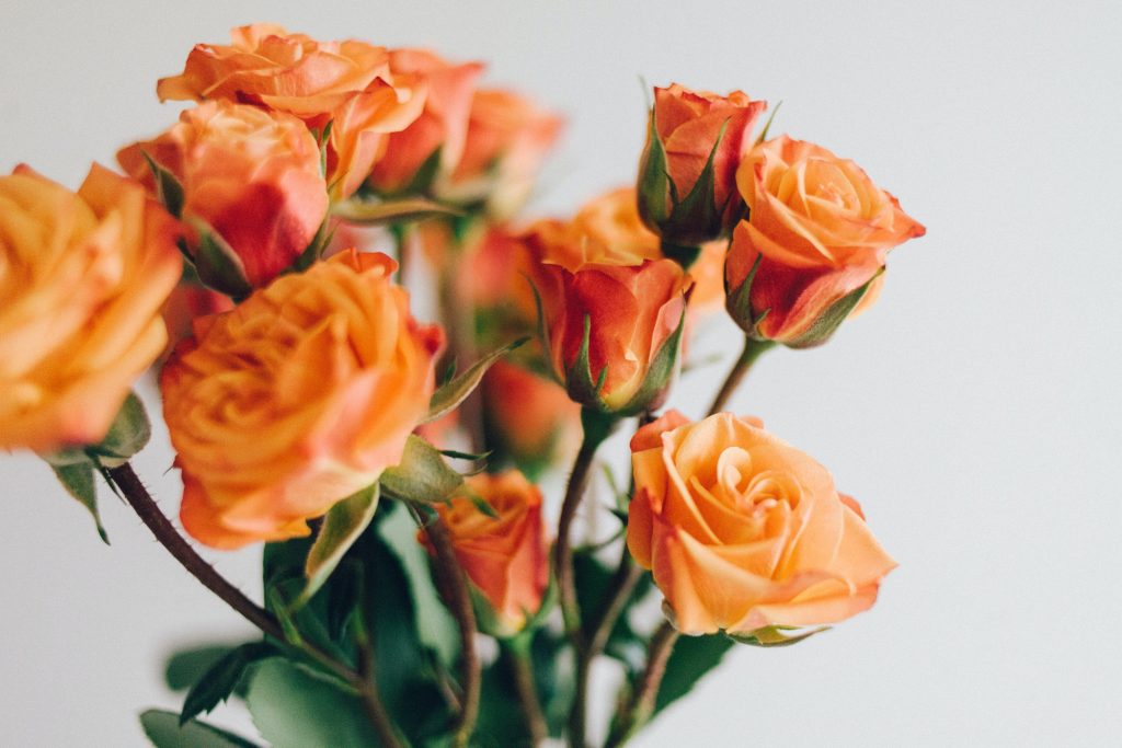 Orange flowers
