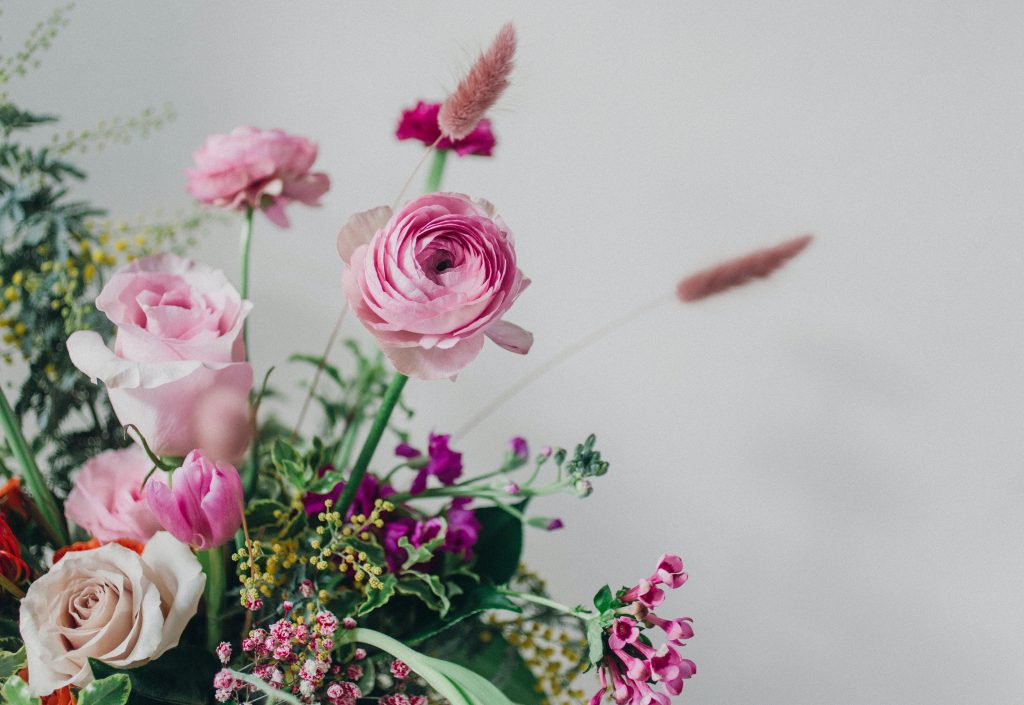 Pink flowers