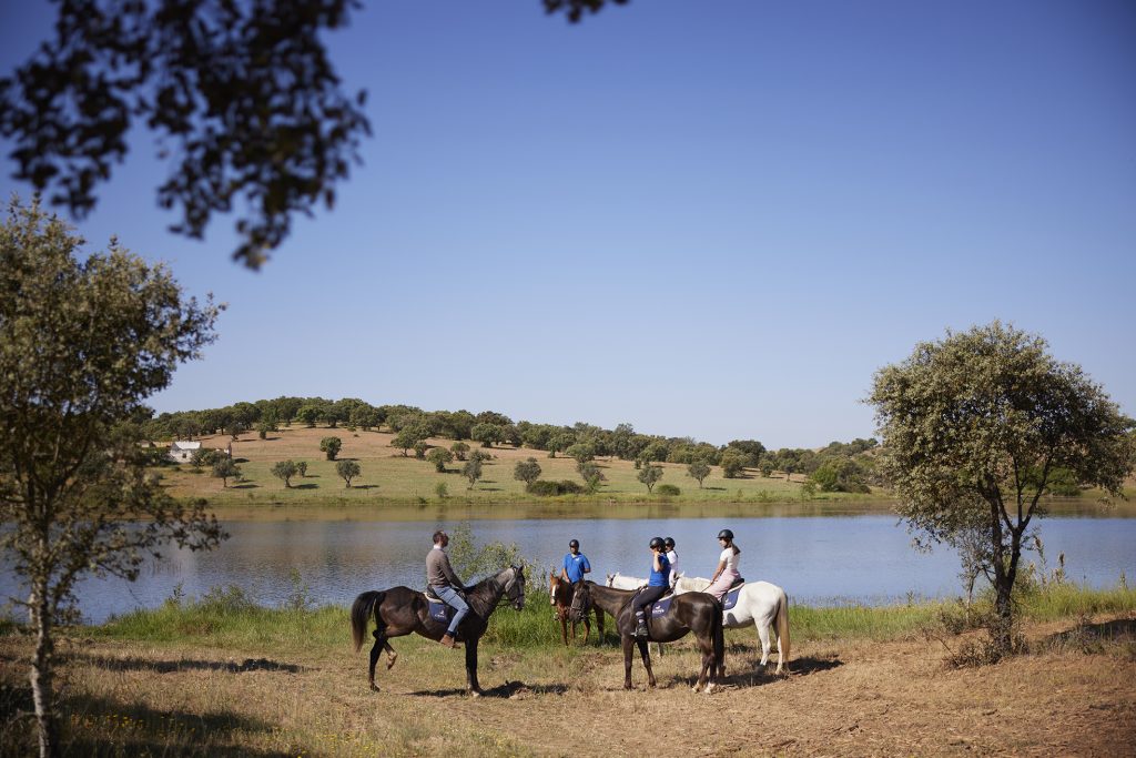 Horse riding in portugal alentejo