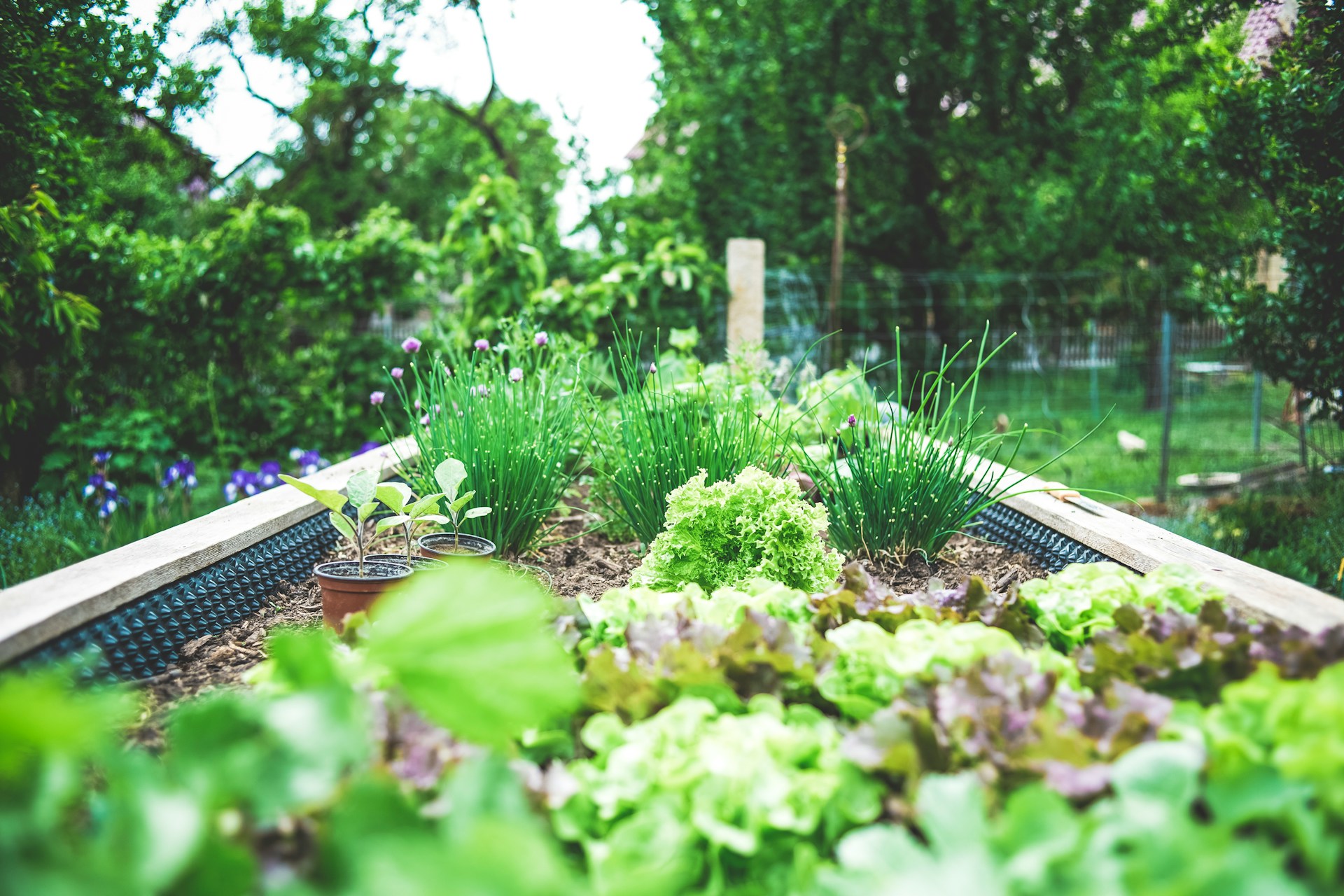 Five ways to prepare your garden for spring
