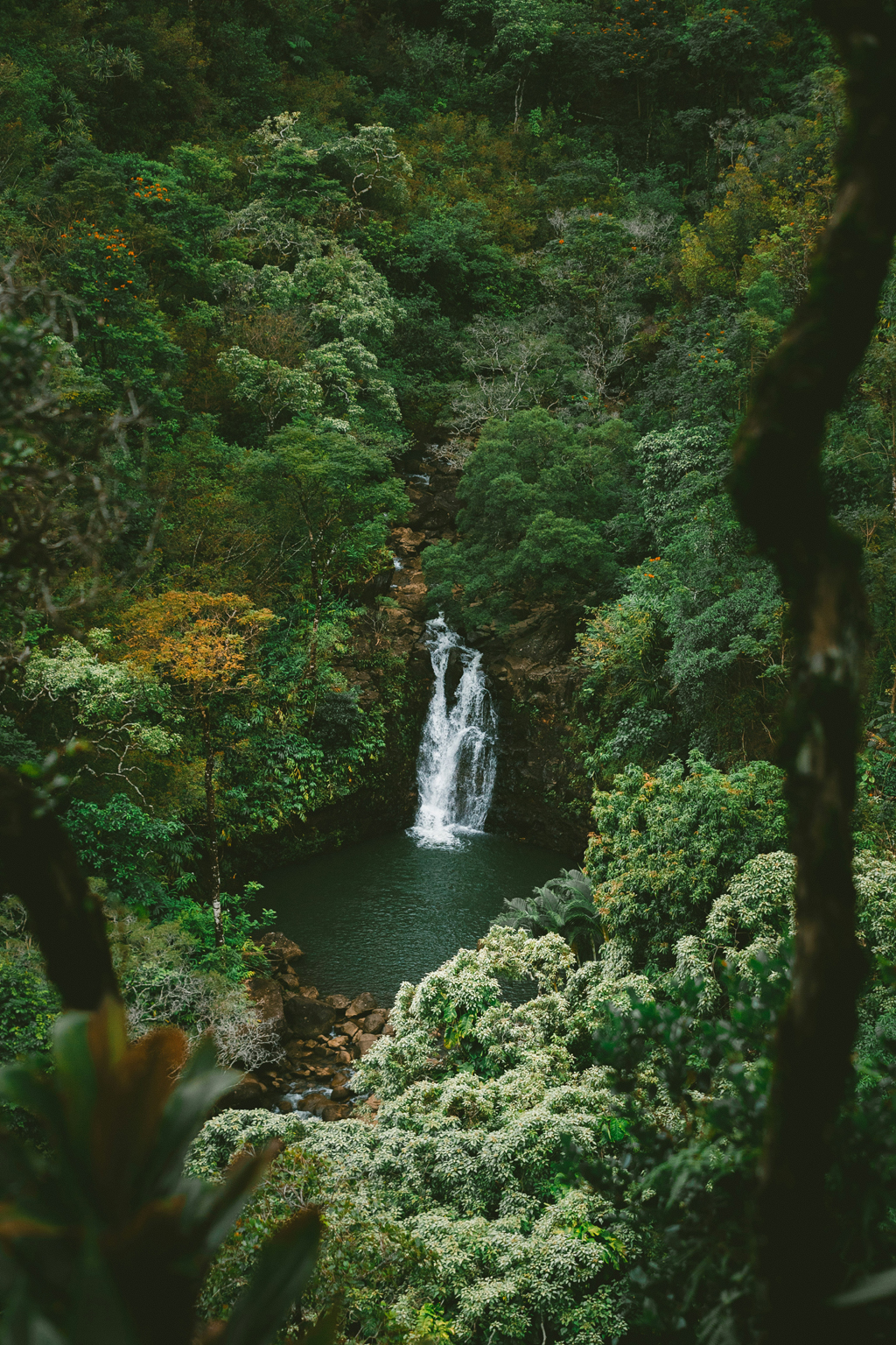 waterfalls maui hawaii