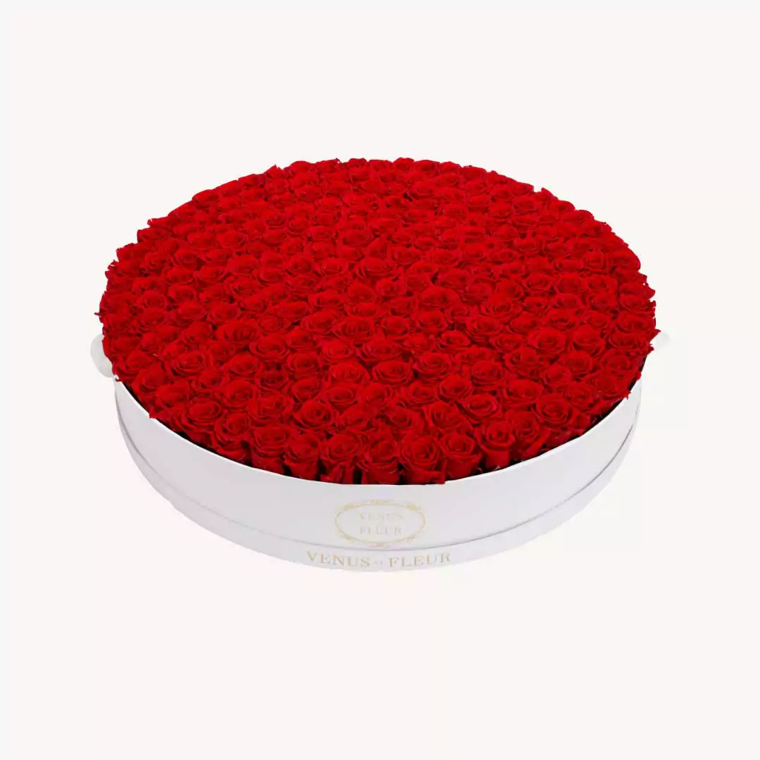 roses for a sexy valentines day at home