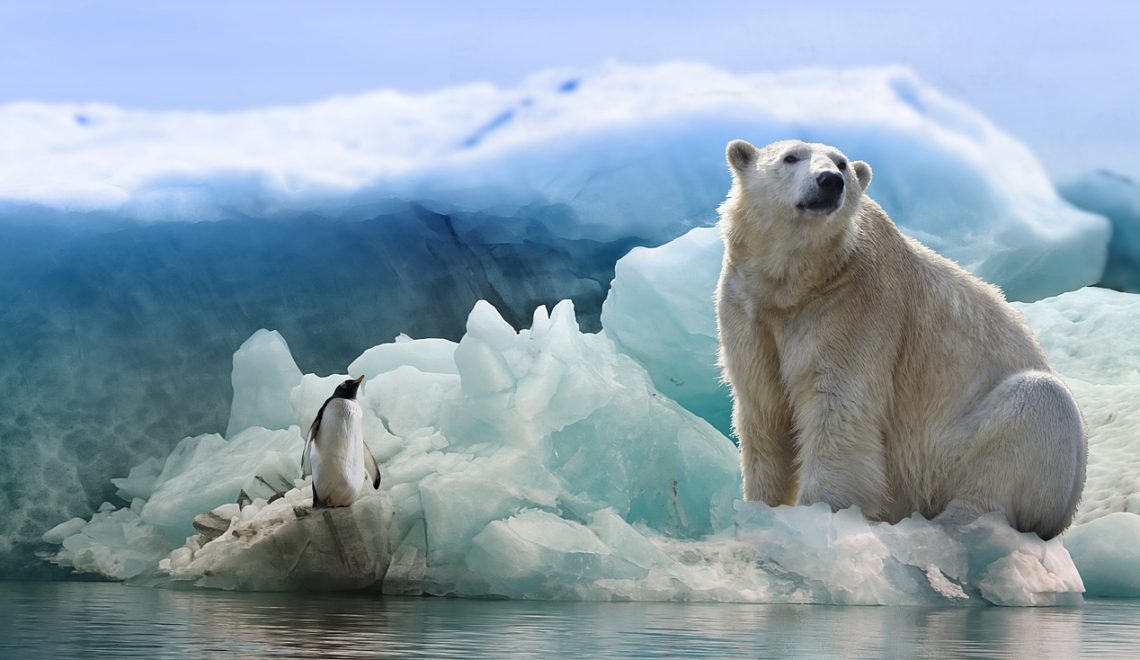 Exploring the Arctic: A Comprehensive Guide to Svalbard Cruises