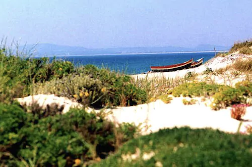Praia do Carvalhal near Comporta, Portugal