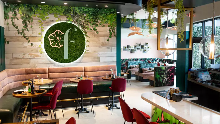 Figo36 Italian NoDa restaurant by designbar