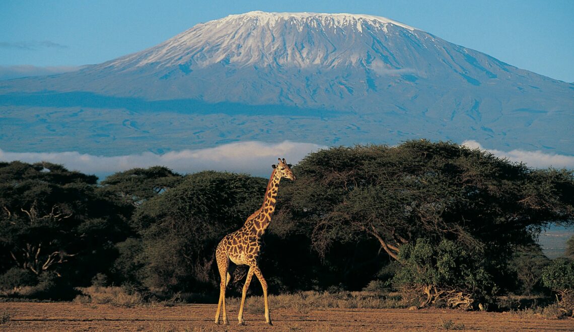Five Incredible Luxury Experiences in Kenya