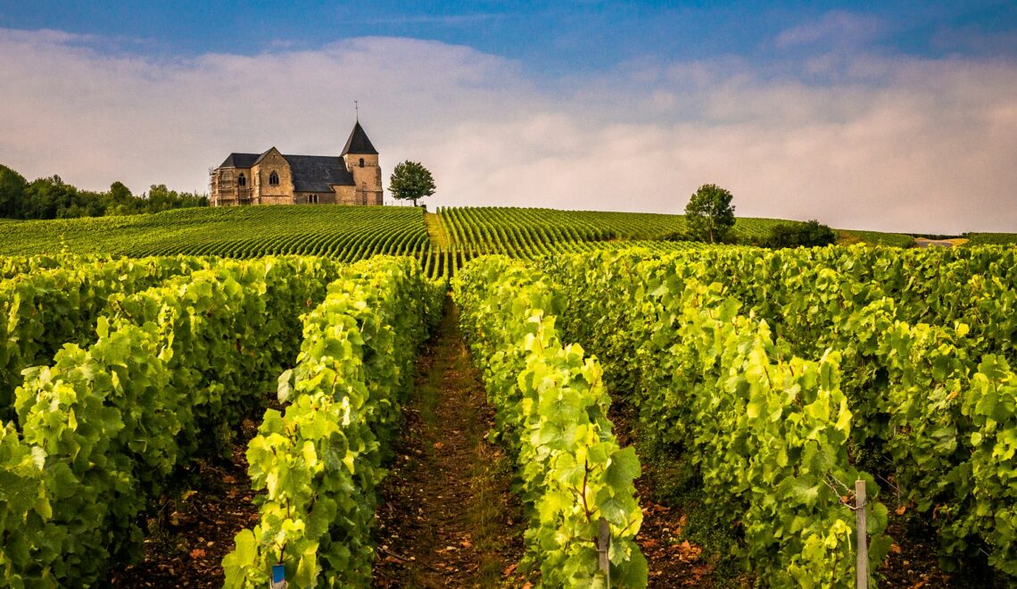 Journey Through France’s Finest Wine-Producing Regions