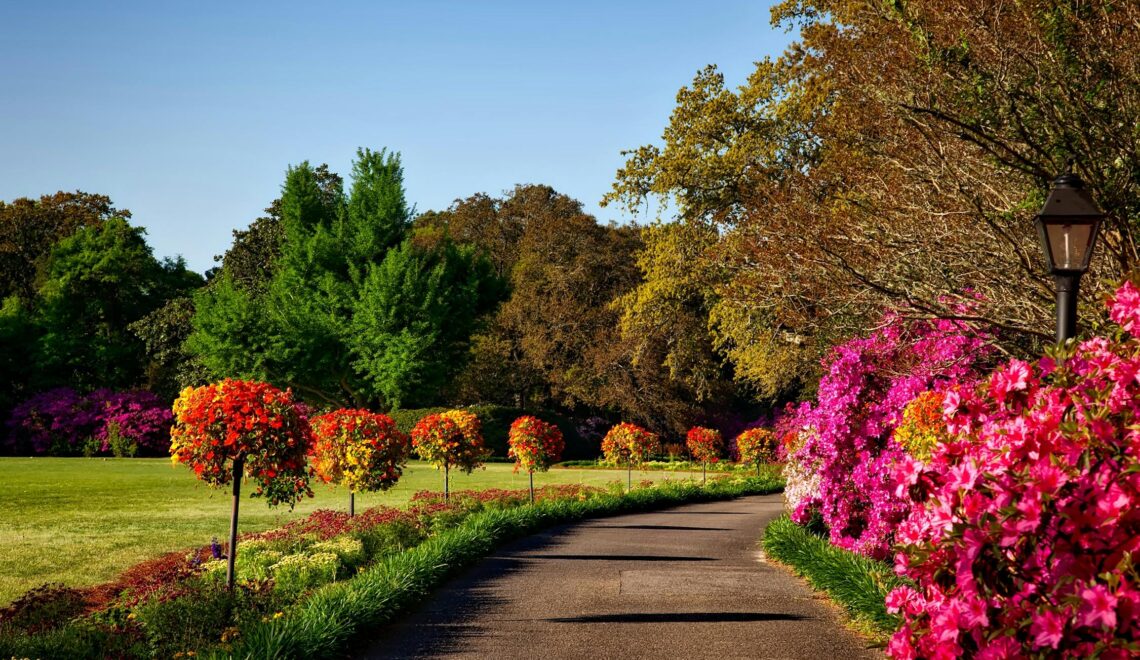 Here's How You Can Get Your Garden Ready For Summer