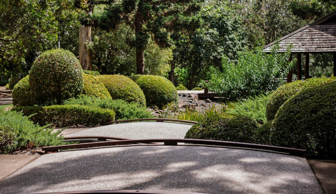 A car driving down a road next to a lush green park