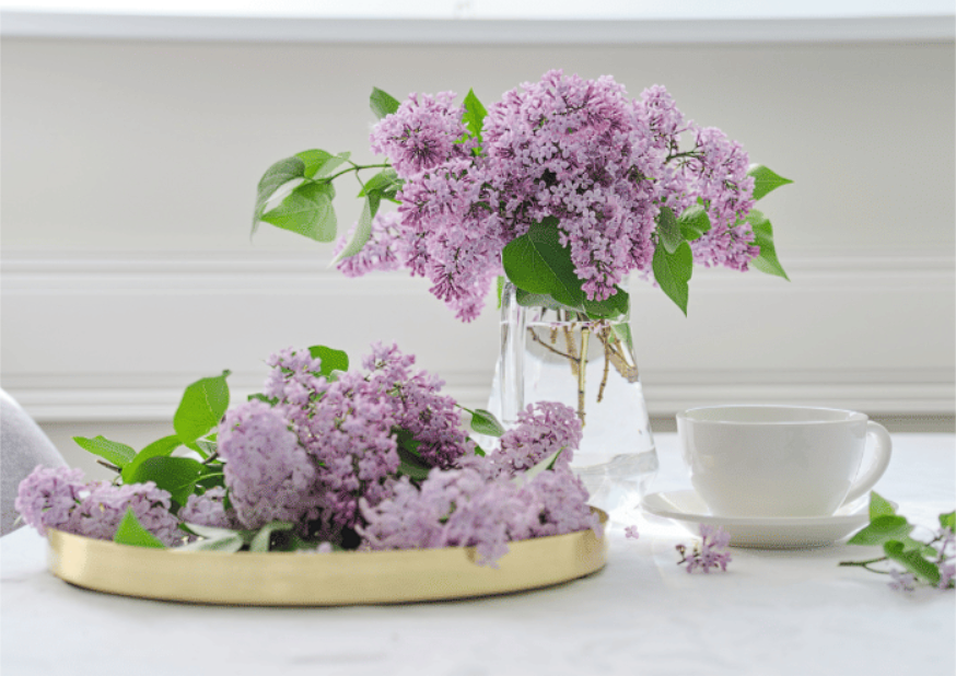 table with purple flowers