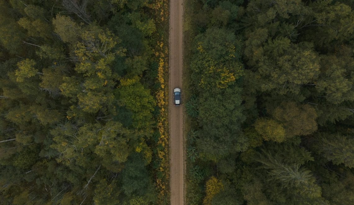 A car driving down a dirt road in the middle of a forest