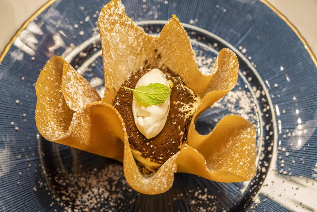 Salute Ristorante Tiramisu