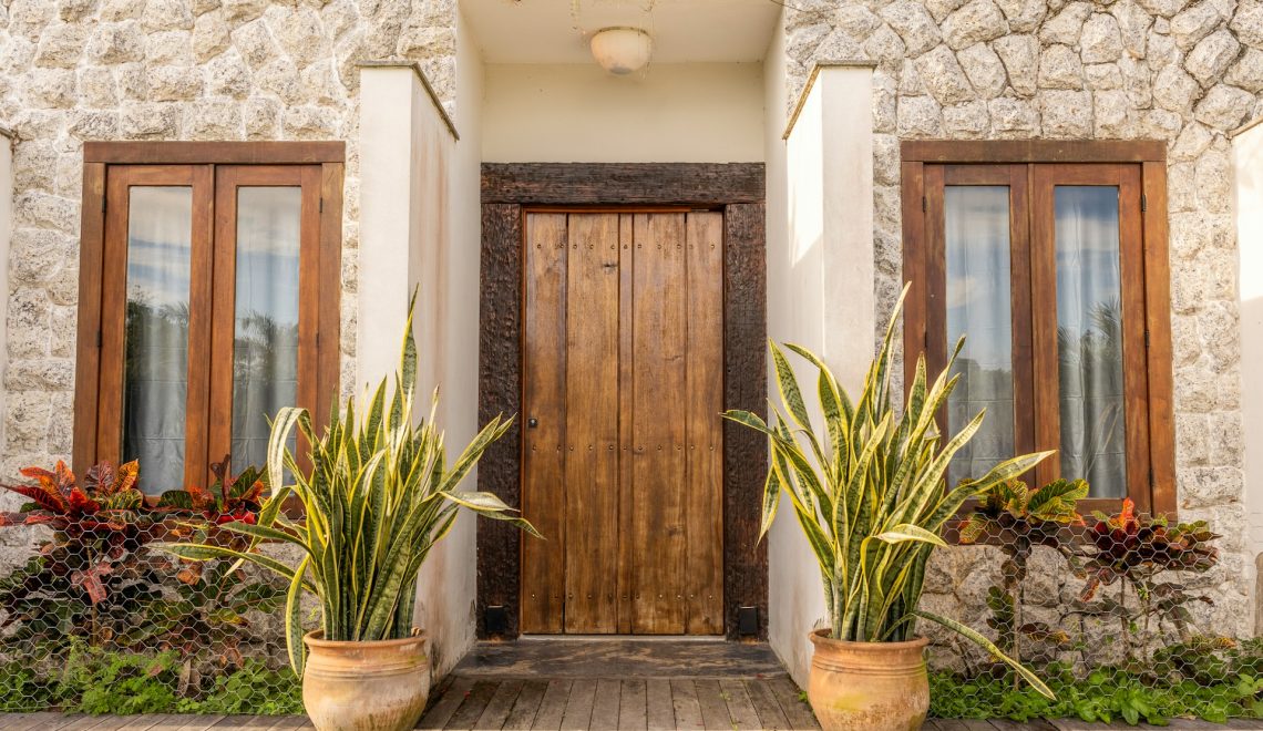 front door with two large potted plants