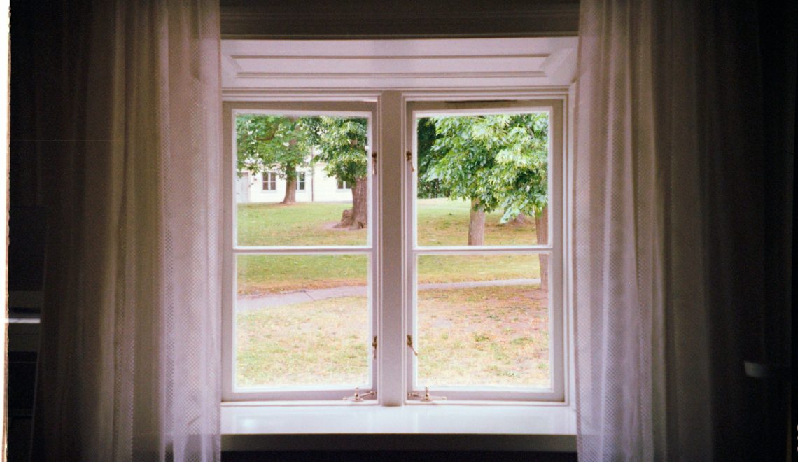 A window, a green lawn, and trees