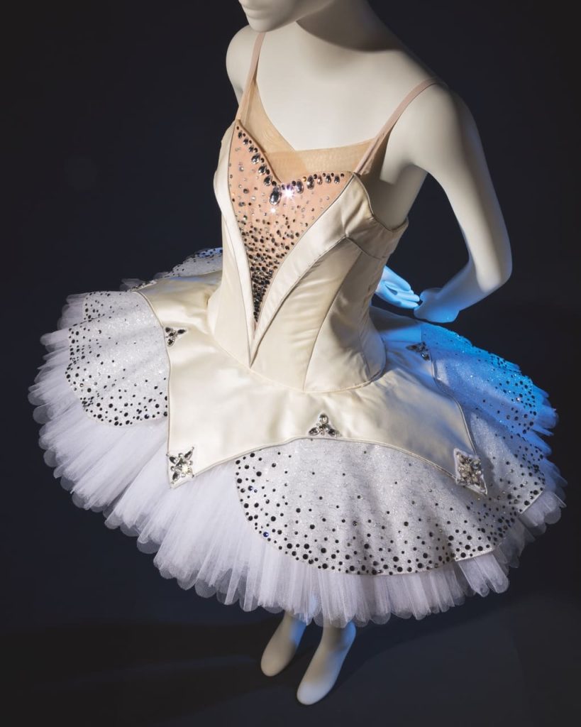 ballerina book vendome press