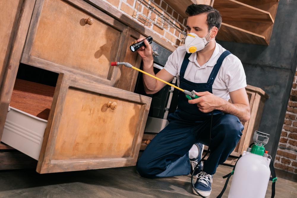 Home inspection or pest-control professional checking an entry point